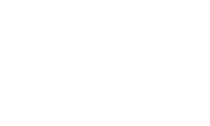 Enel_X_Logopartner_white